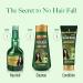 Kesh King Ayurvedic Shampooing anti-chute 300 ml Aloe & 21 herbes R duit la chute des cheveux sans paraben ayurv dique pour tous les types de cheveux pack familial avec Kajal 300 g (Lot de 1) - Buy Online on GoSupps.com