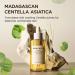 SKIN1004 Madagascar Centella Ampoule - Buy Online on GoSupps.com