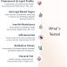 6-in-1 Health Test Kit - Cholesterol, Lipids, A1c, Insulin Resistance, Pre-Diabetes, Inflammation & More - Buy Online on GoSupps.com