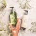 Molton Brown Dewy Lily Of The Valley and Star Anise Hand Cream 40 ml - Buy Online on GoSupps.com