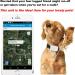 Buy Winnes Dog GPS Tracker TK911 - Waterproof Real-Time Tracking & Geofencing for Small Pets - No Subscription Required - Buy Online on GoSupps.com