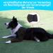 Dog Recovery Suit - Cone Collar Alternative Abrasion-Resistant Waterproof & Washable Prevents Licking & Wound Infection (Black M) - Buy Online on GoSupps.com
