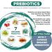 Vital Planet - Vital Flora Immune Support Probiotic 60 Billion CFU Diverse Strains Organic Mushroom Supplement Blend with Prebiotics Digestive Health Probiotics for Women and Men 30 Capsules - Buy Online on GoSupps.com