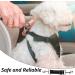 2 Pcs Dog Collar Clips - Durable Double Ended Backup Clips for Harnesses & Leads Essential Safety Accessory for Pets - Buy Online on GoSupps.com