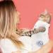 Wllhyf Recovery Suit for Cats - Breathable One-Piece Full Body Clothing for Kittens | Anti-Lick Protection Post-Surgery After Spay & Neuter | Large - Buy Online on GoSupps.com