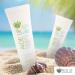 Aloe Up SPF 50 Sunscreen Lotion - Non-Greasy & Quick Absorbing, Reef Friendly Sun Care - 4 Fl Oz - Buy Online on GoSupps.com