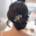 Bridal Flower Side Hair Clips Bride Crystal Hair Comb Crystal Rhinestone Wedding Hair Comb Bride Crystal Hair Comb Bridal Wedding Hair Clip Comb for Women and Girls - Buy Online on GoSupps.com