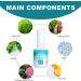 Uptight White Instant Whitening Tooth Paint - Teeth Cleaning Serum for Stain Removal and Teeth Whitening - Buy Online on GoSupps.com