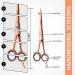 Utopia Care 6.5 Hairdressing Scissors - Premium Stainless Steel Salon Shears in Rose Gold for All Ages & Pets - Buy Online on GoSupps.com