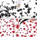 4000-Piece Glass Flatback Rhinestone Set with Tweezer and Picking Pen - Black and Red | 6 Sizes 1.5mm-6mm | Nail & Face Art - Buy Online on GoSupps.com