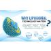 Liposomal Glutathione Supplement High-Potency Antioxidant L-Glutathione Supplement Collagen Resveratrol Hyaluronic Acid Supports Skin Health & Overall Wellness 2550mg Active Ingredients 60 Softgels 1 - Buy Online on GoSupps.com