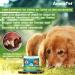 AmeizPet Dog Grass Deterrent Stops Dogs From Eating Grass Soothes Stomach & Reduces Heartburn Digestive Enzymes 120 Treats 270g (9.5 Oz) - Buy Online on GoSupps.com
