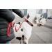 Julius K9 Color & Gray Series Adjustable Neck Band with Handle - 50mm (49-70cm) - Safety Closure - Red-Gray for Dogs - Buy Online on GoSupps.com