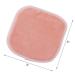 Polyte Premium Die-Up Cloths - Hypoallergenic Microfiber Fleece 10 Pack (13x13 cm Pink) - Chemical-Free and Eco-Friendly Cleaning Solution - Buy Online on GoSupps.com