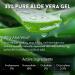 Aloe Up Sport Sunscreen Lotion SPF 30 - Broad Spectrum UVA/UVB Sunscreen Protector for Face and Body - With Hydrating Aloe Vera Gel - Non-Greasy No White Cast Reef Safe Fragrance-Free - 6 Oz. - Buy Online on GoSupps.com