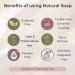 Organic Neem Soap Bar with Essential Oils - Antifungal, Moisturizing, Acne Relief | For Dry, Itchy Skin | Includes Free Exfoliating Bag - Buy Online on GoSupps.com