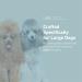 Arthramine Glucosamine for Large Dogs - 60 Chewable Tablets | International Veterinary Sciences - Buy Online on GoSupps.com
