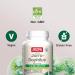Jarrow-Dophilus + FOS - 100 Capsules | Probiotics for Digestive Health | Jarrow Formulas - International Shipping Available - Buy Online on GoSupps.com