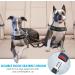 Lukovee Reflective Double Car Seatbelt for 2 Dogs | Adjustable Anti-Shock Bungee Buffer | Safety Travel Belt for Medium Dogs | Black - Buy Online on GoSupps.com