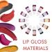BONNIE CHOICE 12 Colors Liquid Lip Gloss Pigment Set - DIY Lipstick & Lip Gloss Colorant Kit - Buy Online on GoSupps.com