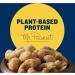 PLANTERS Whole Cashews Dill Pickle Flavored Party Snacks Plant Based Protein 5 oz (Pack of 2) Bundle With a Snack Scout Lunch Bag - Buy Online on GoSupps.com