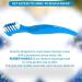 Natural Strong Denture Adhesive NaturDent | Holds Dentures Longer & Stronger | Zinc-Free & Paraffin-Free | Bundle with Dentu-Care Brush - Buy Online on GoSupps.com