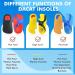 Plantar Fasciitis Arch Support Insoles- Deep Heel Cup, 3/4 Firm Orthotic Inserts for Plantar Fasciitis, Heel Spur, Flat Feet - Men9-11/Women10-12 - Buy Online on GoSupps.com