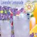 Lavender Lemonade Drink Mix - 4 LB Bag Lavender Lemonade 4 Pound (Pack of 1) - Buy Online on GoSupps.com