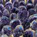 Natural geode Quartz CrystalsStones Uruguay Amethyst Cluster for Home Decoration NaturalCrystal ERTEYIN (Color : 1pcs Size : 900-1200g) 900-1200g 1pcs