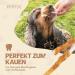 PETSTYLE LIVING Chew Stick with Chicken - 100 Piece Value Bag | Premium Dog Snack for Happy Pets - Buy Online on GoSupps.com