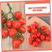 Alipis Simulated Small Tomatoes Fruit Home Decor Cherry Photography Props Party Decor Home Ornament Home Supplies Red Household Early Teaching Aids Foam Red 4.00X2.00X2.00CM - Buy Online on GoSupps.com