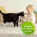 Bactador Enzyme Cleaner - Cat Toilet Smell Remover Spray 150ml | Microbiological Odor Neutralizer | Dog & Cat Urine Odor Eliminator | Deep Cleaning for Pets - Buy Online on GoSupps.com