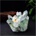 Natural Crystal Cluster Ore Specimens Yellow Green Quartz Reiki Stone Raw CrystalsHome Decor Collect Gifts Ornaments 1PCS Decoration Primary Stones and Minerals (Color : A Yellow Size : 500-550g) 500-550g A Yellow - Buy Online on GoSupps.com