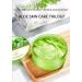 Organic Aloe Vera Gel 300g - Natural Moisturizing Cream for Sunburn, Scars, and Anti-inflammatory Care - Buy Online on GoSupps.com