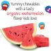 Garden of Life Dr. Formulated Probiotics for Kids - Organic Watermelon Chewables (30 Count) - Buy Online on GoSupps.com