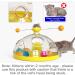AOCCIT Interactive Cat Toy - Indoor Kitten Teaser Supplies for Enrichment and Playtime | Birthday Gift Cat Treasure Chest - B - Buy Online on GoSupps.com