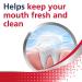 Parodontax Active Gum Health Mouthwash - 16.9 Fl Oz - Antiplaque & Antigingivitis - Mint Flavor - Buy Online on GoSupps.com