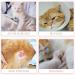 ANWA 2 Pack Cat Recovery Suit - Breathable Cat Surgery Recovery Suit Female Cat Onesie for Cats After Surgery Cat Spay Recovery Suit Female Abdominal Wounds M Alpaca + Kitten - Buy Online on GoSupps.com
