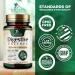 Digestive Enzymes with Probiotics - Probiotic Multi Enzymes with Probiotics and Prebiotics for Digestive Health and Bloating Relief for Women & Men Daily Enzymes for Gut & Digestion - 120 Capsules 120 Count (Pack of 1) - Buy Online on GoSupps.com