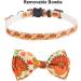 Thanksgiving Cat Collars with Bow Bell | Pumpkin Bowtie Breakaway Collar for Cats & Kittens - Buy Online on GoSupps.com