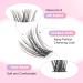 Glowing Win DIY Cluster Eyelash Extensions Set - 144 PCs Natural Individual Lashes 8-16mm with Bond Sea and Tweezers - Buy Online on GoSupps.com