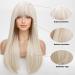 HAIRCUBE Natural White Highlights Straight Wig with Fringe for Women - Daily Wear - Buy Online on GoSupps.com