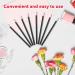 Buy Disposable Lip Applicators - 50 PCS Black Lip Brush for Lipstick Nail Polish Eyeshadow & PYO Cookie Painting - Buy Online on GoSupps.com