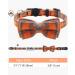 Tagme Cat Collar with Name & Phone Number | Safe Orange Kitten Collar with Bell - 1 Pack - Buy Online on GoSupps.com