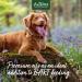 AniForte Barf Feeding Oil for Dogs 1L | Natural Cold-Pressed Omega 3 & 6 | Premium Barf Oil for Balanced Nutrition - Buy Online on GoSupps.com