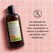 Just Nutritive Normal Hair Shampoo | Best Shampoo for Normal Hair | Fresh & Healthy Hair | International Shipping Available - Buy Online on GoSupps.com