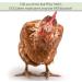 PICKY NEB Non-GMO Dried Mealworms - High-Protein Treats for Chickens, Ducks, Birds & More - Buy Online on GoSupps.com