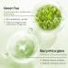 Acne Repair Face Serum Firming Serum For Face Green Tea Hyaluronic Acid Serum Relieve Redness & Acne Natural Face Serum For Acne Day & Night Serum For Face Hydrating Face Oils And Serums-Repair - Buy Online on GoSupps.com