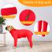 ETDANE Disches: Surgical Recovery Suit for Dogs Long-Sleeved Anti-Failure Pajamas in XL/XXL | Ideal for Female & Male Dogs - Orange-Red - Buy Online on GoSupps.com