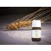 Dr. Bio Wheat Oil 20ml - Natural Healing & Nourishment | Premium Bio Products for Health - Buy Online on GoSupps.com